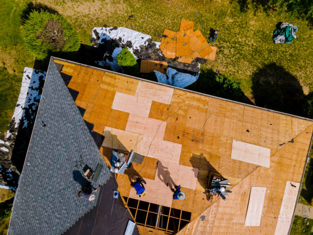 Quick and Trustworthy Emergency Roof Repair Services in Homestead, FL